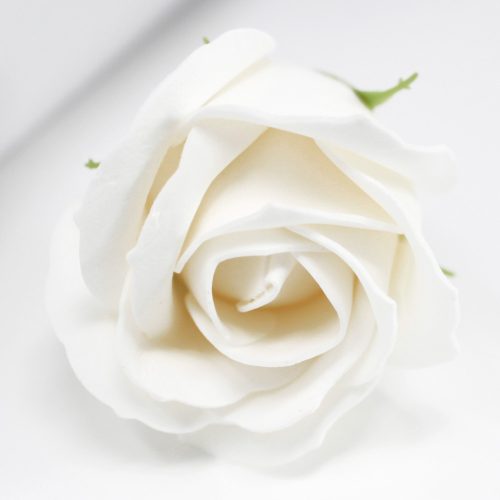 Közepes méretű Rózsa - Fehér